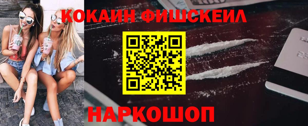 Cocaine Fish Scale  Вход с VPN  Ефремов 