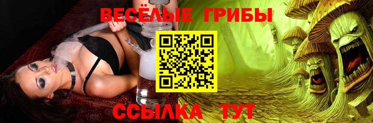Галлюциногенные грибы ЛСД  что такое   Ефремов  Вход с VPN  Псилоцибиновые грибы ЛСД 